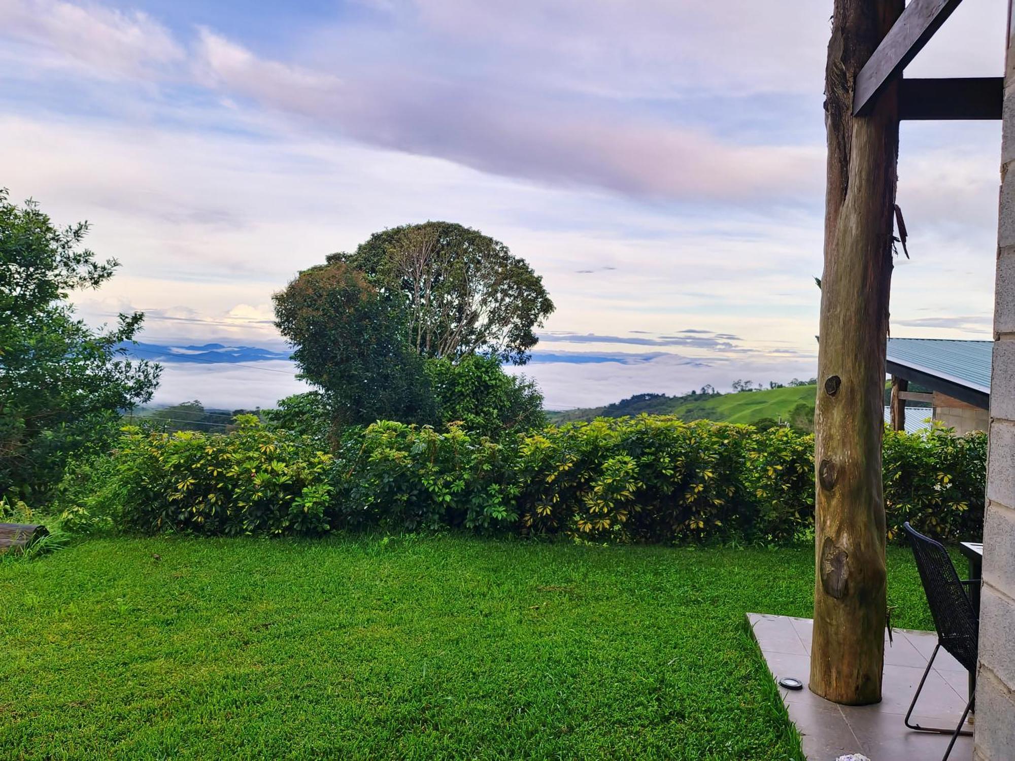 Espectacular Cabana Moderna De Montana + Bosque Nuboso +Wifi Zarcero Eksteriør billede