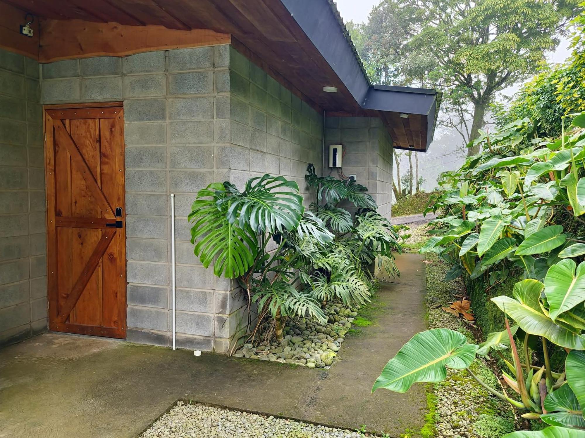 Espectacular Cabana Moderna De Montana + Bosque Nuboso +Wifi Zarcero Eksteriør billede